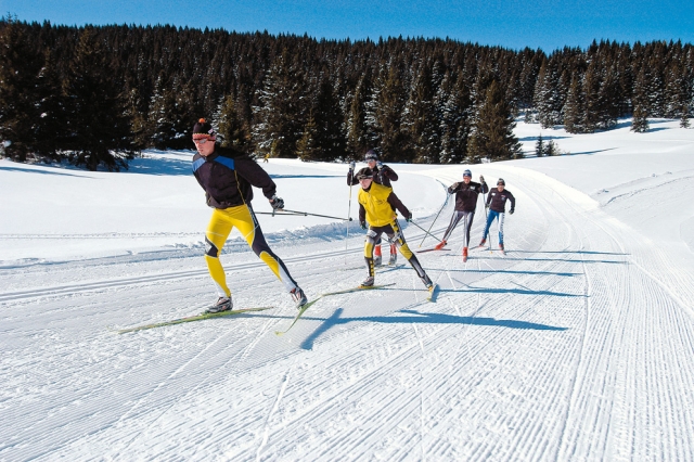 Cross-country skiing 